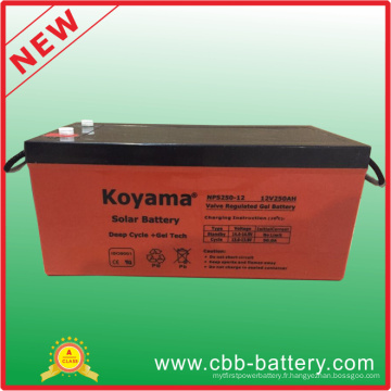 Hot Sale 12V250ah Batterie au plomb acide pour la production d&#39;énergie photovoltaïque